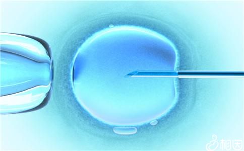 关于同志供卵代孕网